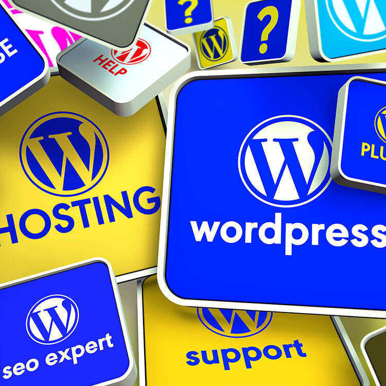 WordPress Content Management System